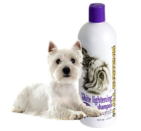 The magic touch for a clean and soft coat: this dog shampoo delivers